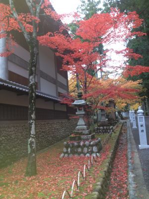 大井川鉄道SLとあぷとライン_f0231309_22111742.jpg