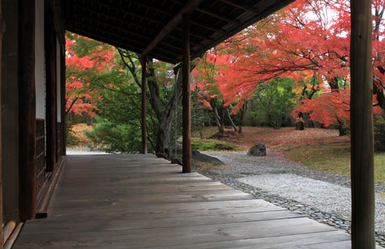 14紅葉めぐり 42 国立博物館_e0048413_20571911.jpg