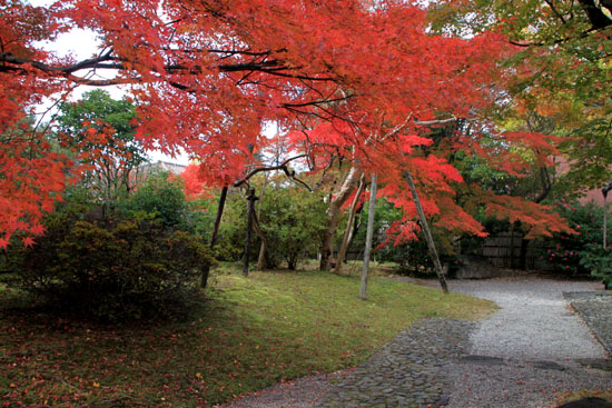 14紅葉めぐり 42 国立博物館_e0048413_20574270.jpg