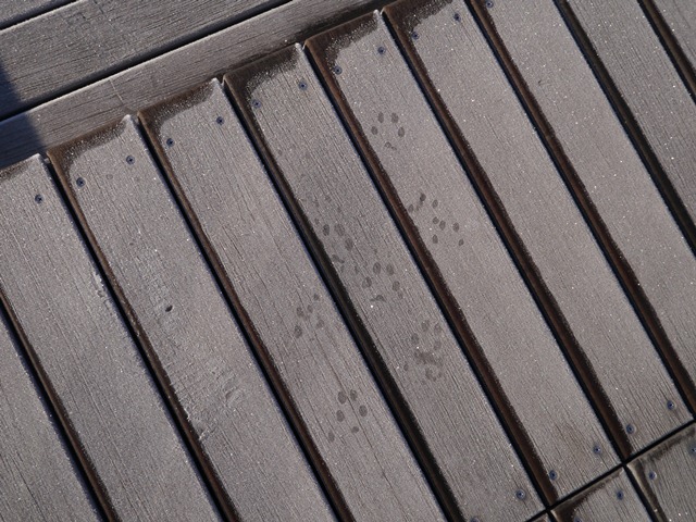 e0336214_9551251.jpg