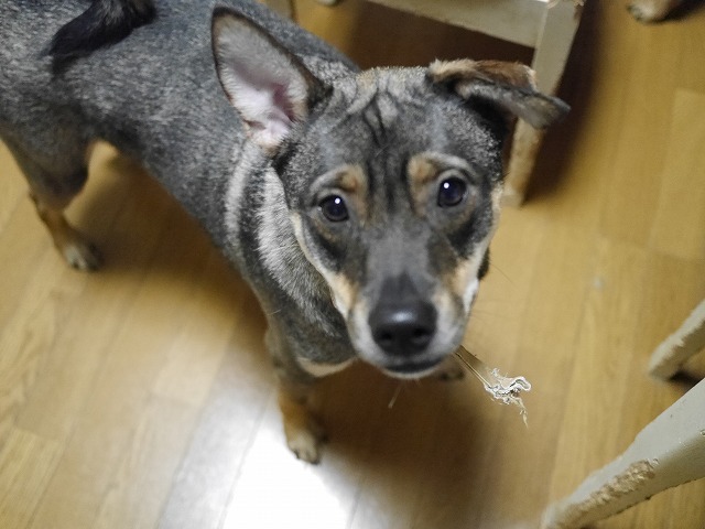 f0282319_1403553.jpg
