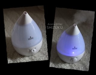 加湿器_b0251421_12081824.jpeg