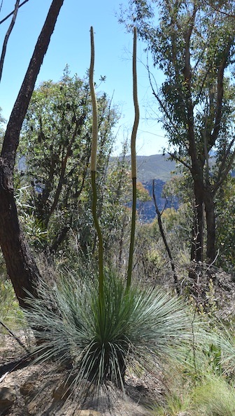 f0155522_7235228.jpg