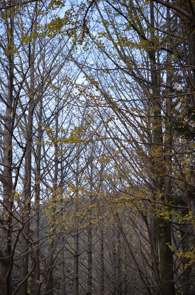 b0279623_843312.jpg