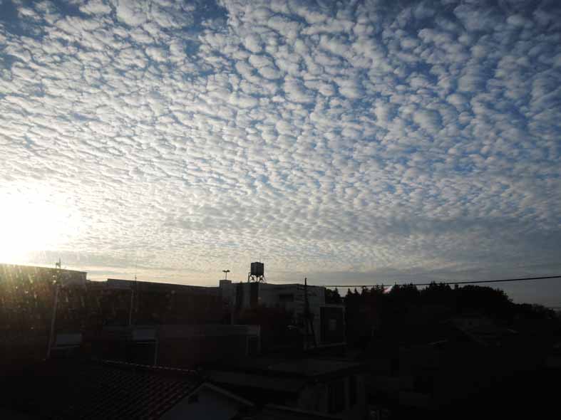 d0211129_14113067.jpg