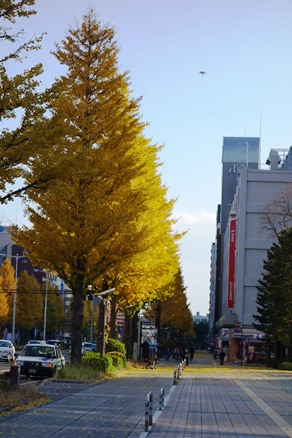 b0169238_20325258.jpg