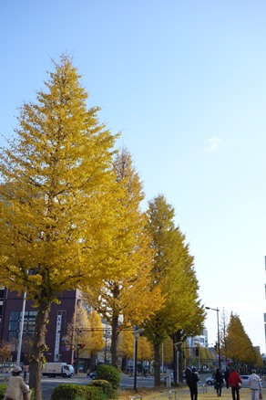 b0169238_20325520.jpg