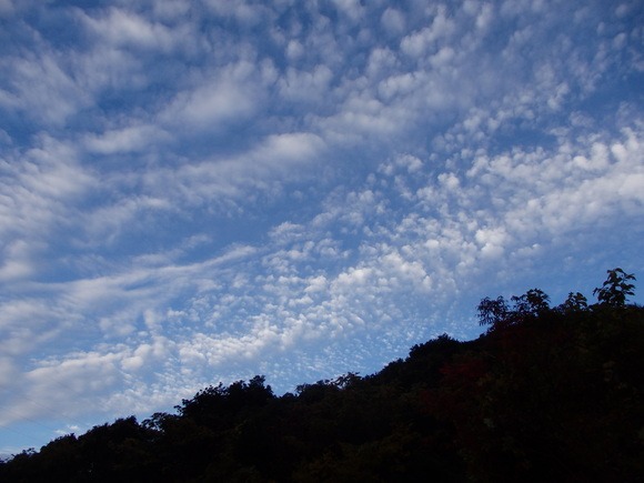 a0054240_22563750.jpg