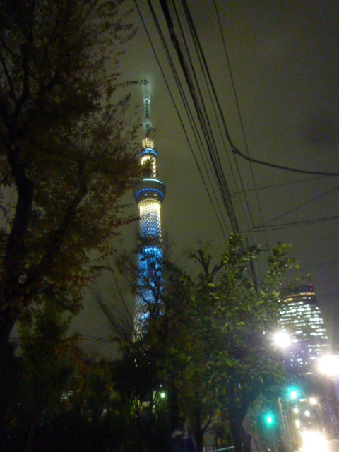スカイツリーを隠すものたち_b0217741_00523630.jpg