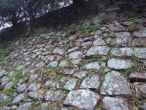 洲本城(淡路島)_b0145843_19591828.jpg