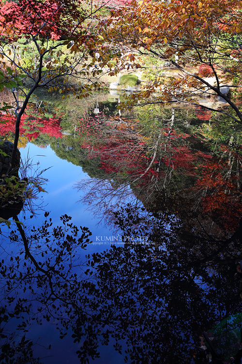 紅葉～水面に映る～１_c0294943_20114255.jpg