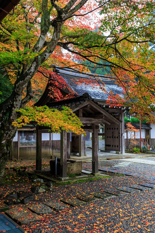 元三大師堂・錦秋（比叡山延暦寺）_f0155048_20361634.jpg