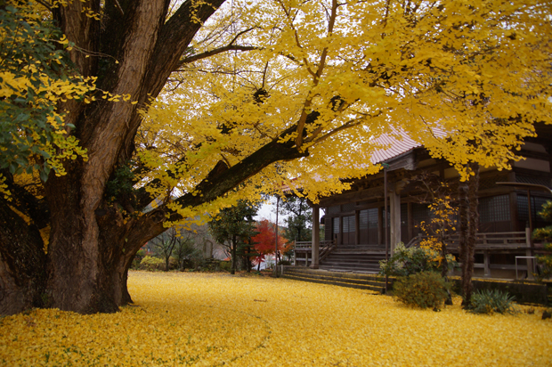f0214649_141747.jpg