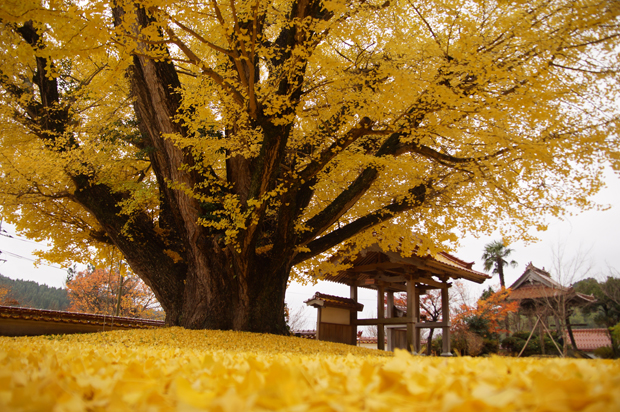 f0214649_1420370.jpg