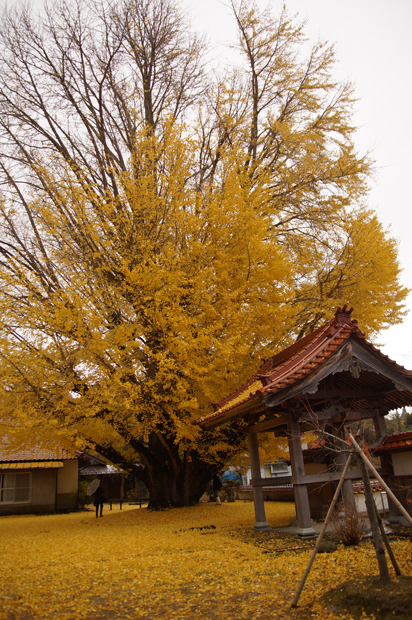 f0214649_14223133.jpg