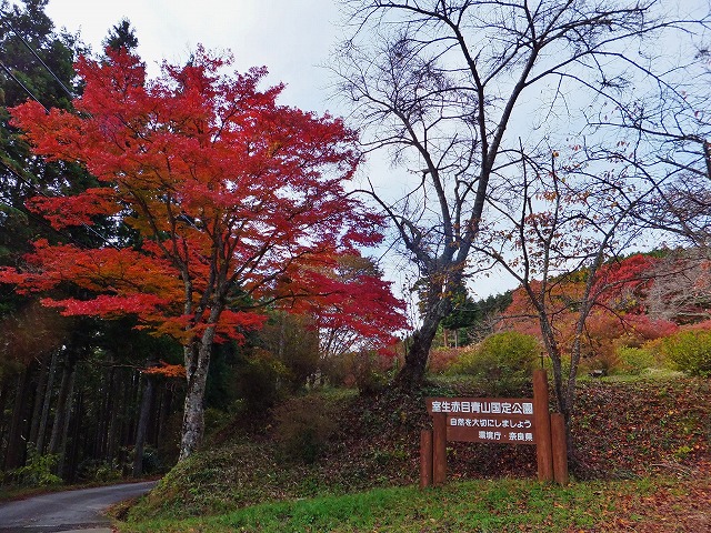 d0048350_15508100.jpg