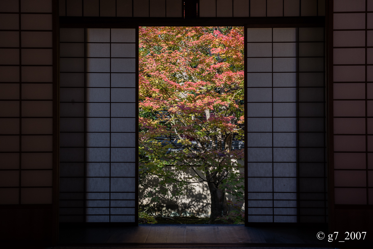 京都の紅葉 2014　〜泉涌寺別院 雲龍院〜_f0152550_2265465.jpg