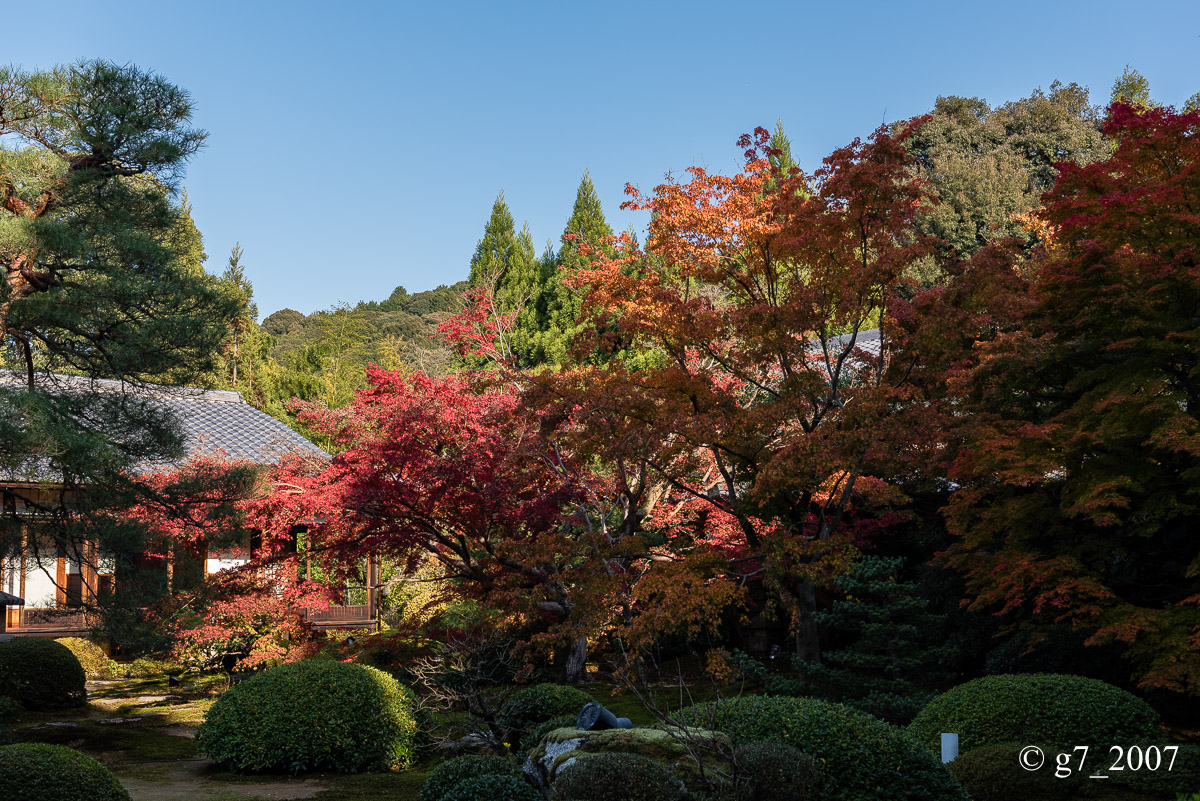 京都の紅葉 2014　〜泉涌寺別院 雲龍院〜_f0152550_2274323.jpg