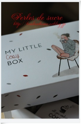 my little cosy box 届きました♪_f0199750_10195773.jpg