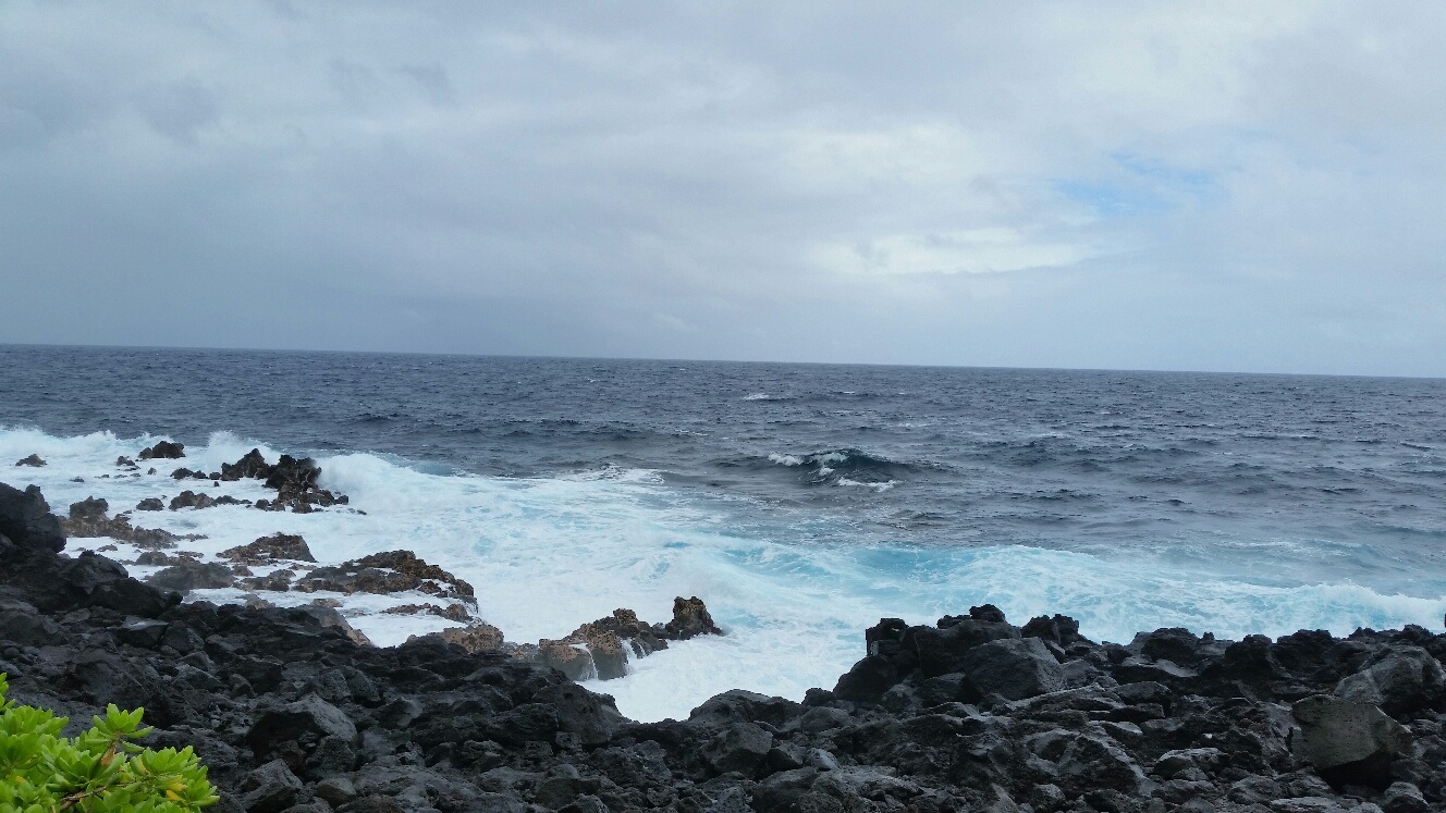 b0126453_65407.jpg