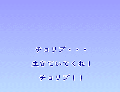 f0263955_1384916.gif