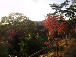 d0045362_1110329.jpg