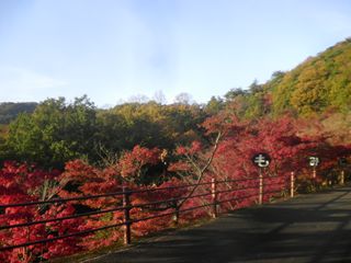 d0045362_11103880.jpg
