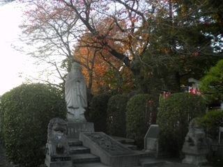 d0045362_11151811.jpg