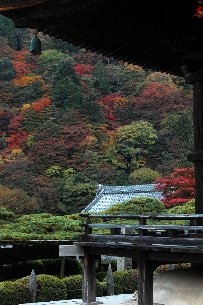 紅葉　　2014    <善峯寺> 　　　　　　　　　　　　　　　　　　　　　　　　　_f0021869_23645.jpg