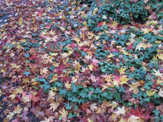 f0085369_93624.jpg