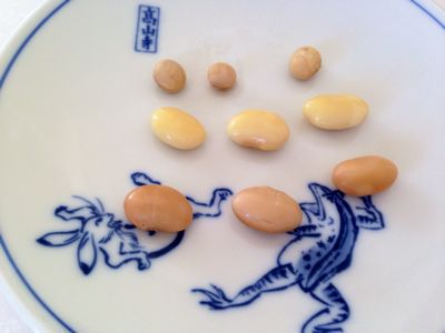 2015年1月お味噌仕込み教室日程*_e0326573_1114597.jpg