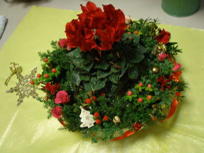 f0007380_18607.jpg