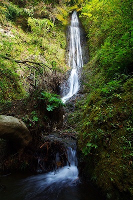 c0324983_00014489.jpg