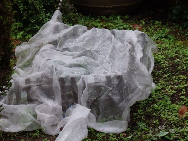f0130894_23134330.jpg