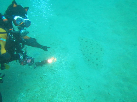 e0115199_19210696.jpg
