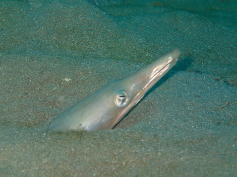 e0115199_19242087.jpg