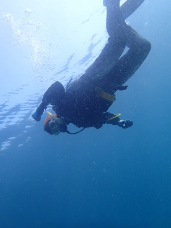 e0115199_20281402.jpg
