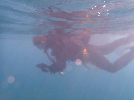 e0115199_20283088.jpg
