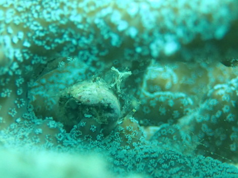 e0115199_20292446.jpg