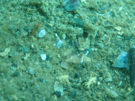 e0115199_20294280.jpg