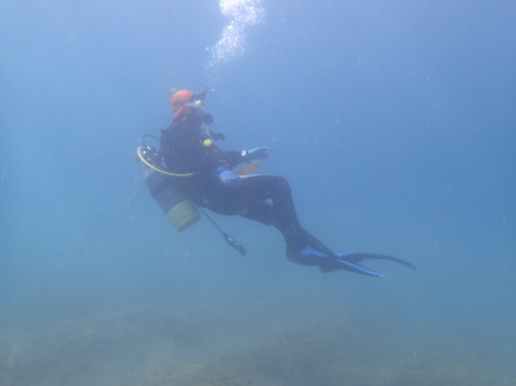 e0115199_20362240.jpg