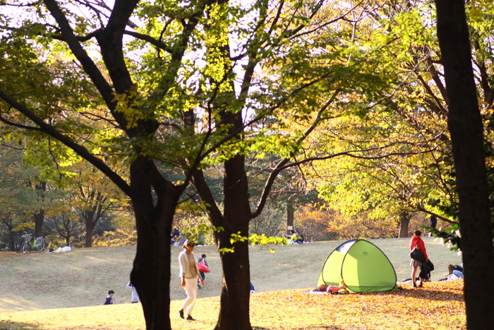 d0248502_16183343.jpg
