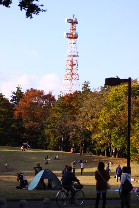 d0248502_16194998.jpg