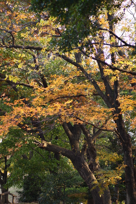 d0248502_162032100.jpg