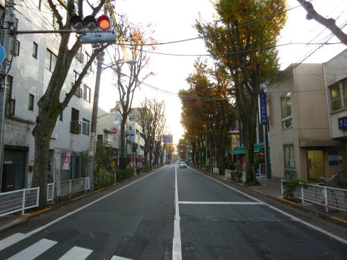 d0131403_161457.jpg