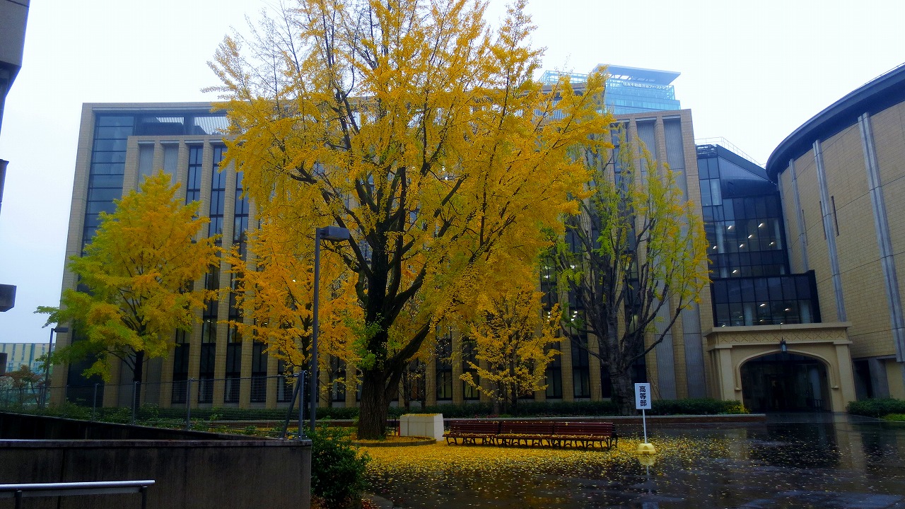 青山学院大学_b0163804_21203997.jpg