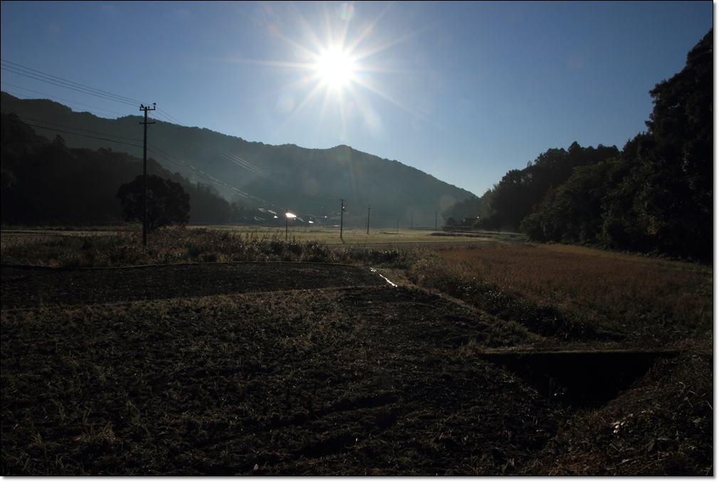 朝の田園風景_a0057905_200475.jpg