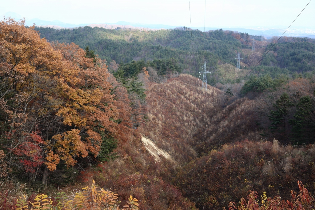 落ち葉の絨毯ロード（赤坂～畑前草地奥）_b0050305_2105910.jpg