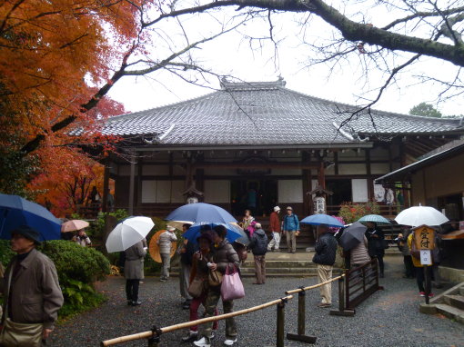 つくばに戻りましたが、京都での観光備忘録　鷹峯の常照寺へ_b0254207_23295052.jpg