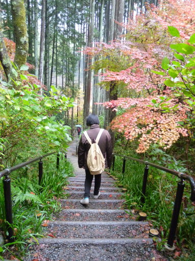 つくばに戻りましたが、京都での観光備忘録　鷹峯の常照寺へ_b0254207_233052100.jpg